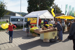 apfelmarkt_1