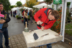 apfelmarkt_3
